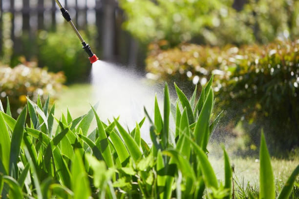 24/7 Emergency Ant Control experts in Nevada City, CA