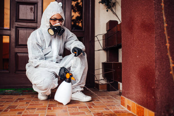 Reliable Ant Control contractor in Nevada City, CA by Nex Pest Control