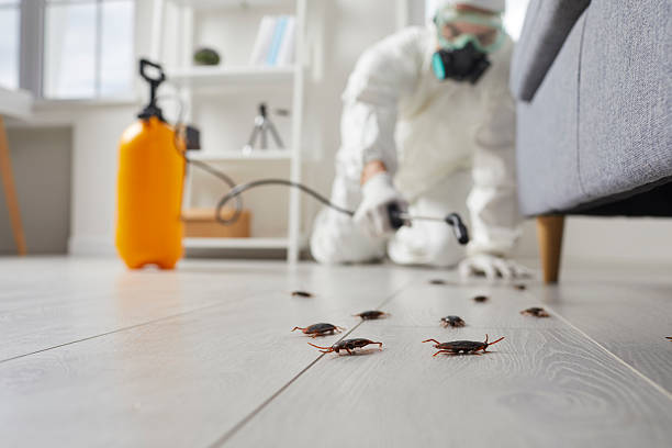Trusted Fumigation Services service in Nevada City, CA - Nex Pest Control